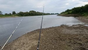 На что я ловлю рыбу.