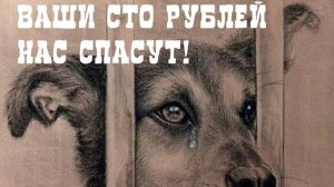 Мы не обещаем - мы делаем!