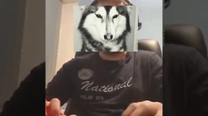 Пов как хаски создавал разоблачения на эту девку