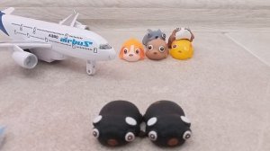 Обзор собачек из Красное Белое 2 часть!