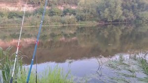 МЫ НА РЫБАЛКЕ -2🐠 КТО МОЛОДЕЦ, Я КОНЕЧНО МОЛОДЕЦ🤗👍👍👍