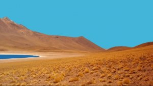 Сахих аль-Бухари, хадисы № 281-290. Фокус темы: ОМОВЕНИЕ - 7