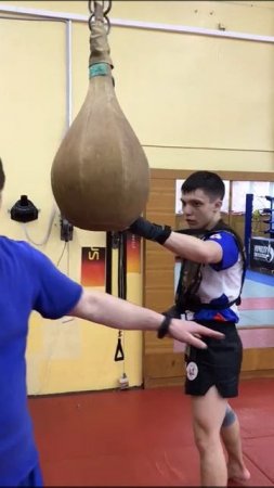 ОТЗЫВ О ТРЕНАЖЁРЕ ПАНЧЕРА от МСМК, доцент ГИФК,  Степанова М.Ю.и ЗМС СССР Мочалова В.Л.