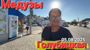 Азовское море Нашествие медуз - 5 Августа 2025 Прямой эфир #Стрим Голубицкая пляжи
