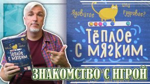 Знакомство с настольной игрой «ТЁПЛОЕ С МЯГКИМ»