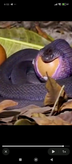 наберите хотя бы 10 подписчиков или один лайк пожалуйста умоляю