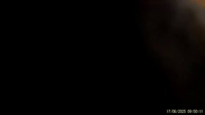 Двойное счастье в нацпарке «Ленские столбы»: лосята-близнецы и их мама замечены у солонца (1).