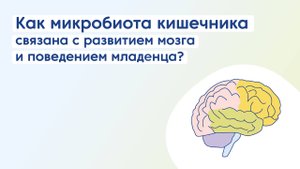 Питание и кишечная микробиота: глобальная роль в развитии мозга ребенка