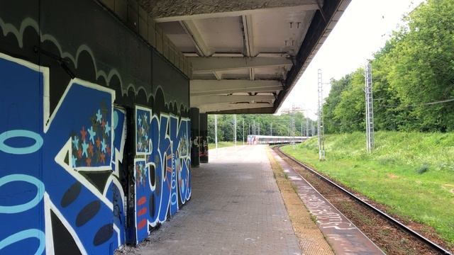 Иволги на заброшенной платформе МЦД2