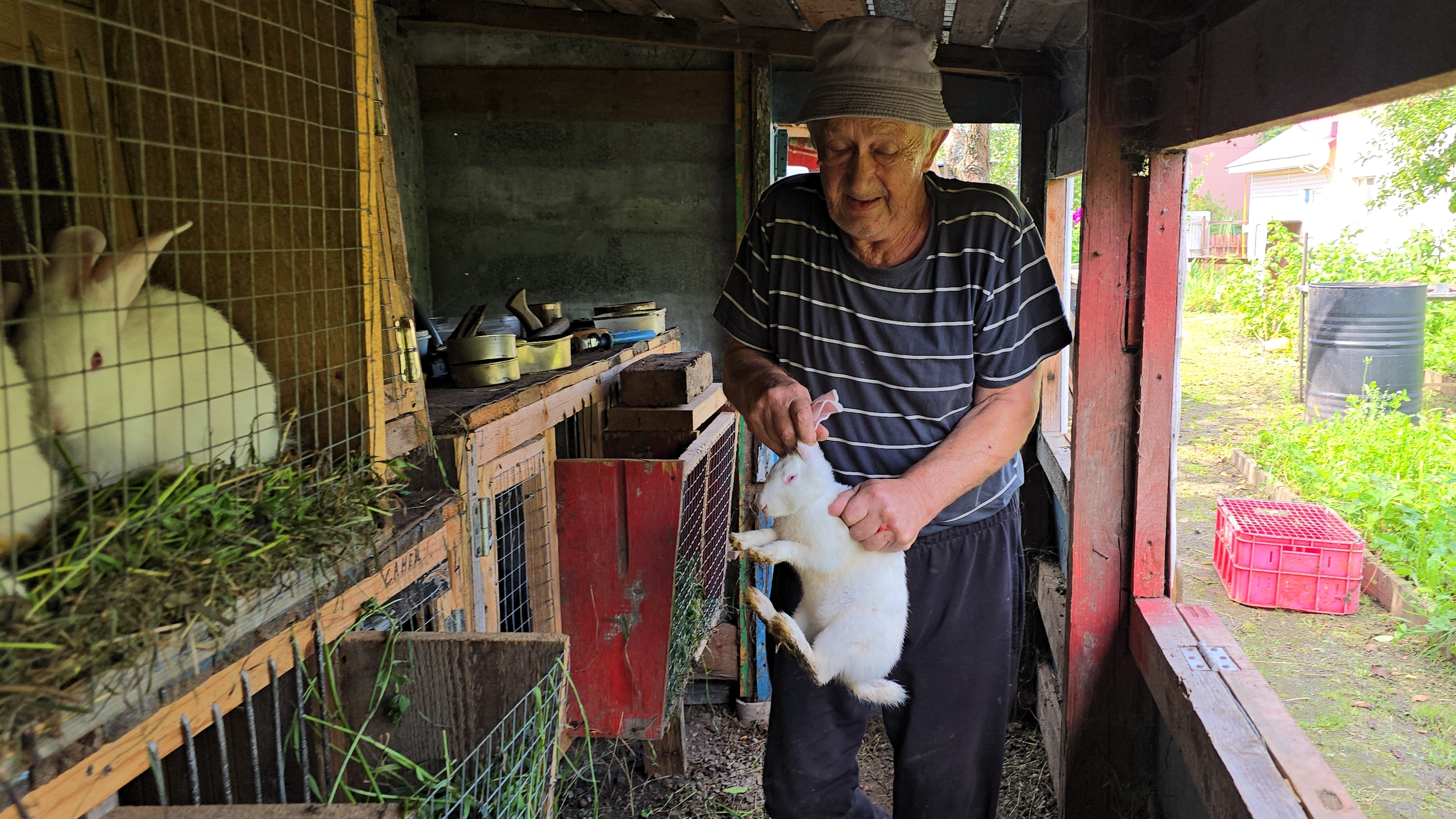 Рассадили молодняк