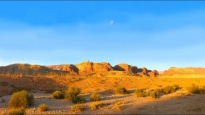 Сахих аль-Бухари, хадисы № 571-580. Фокус темы: МОЛИТВА (НАМАЗ, САЛЯТ) - 7