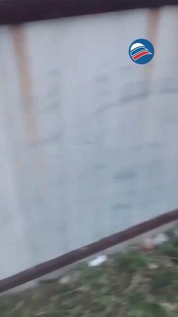 Нашествие мотыльков в Забайкалье: Село Урульга атаковано насекомыми
