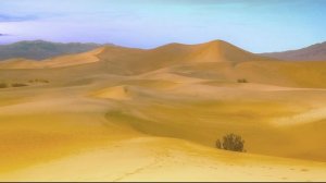 Сахих аль-Бухари, хадисы № 471-480. Фокус темы: МЕЧЕТЬ - 8