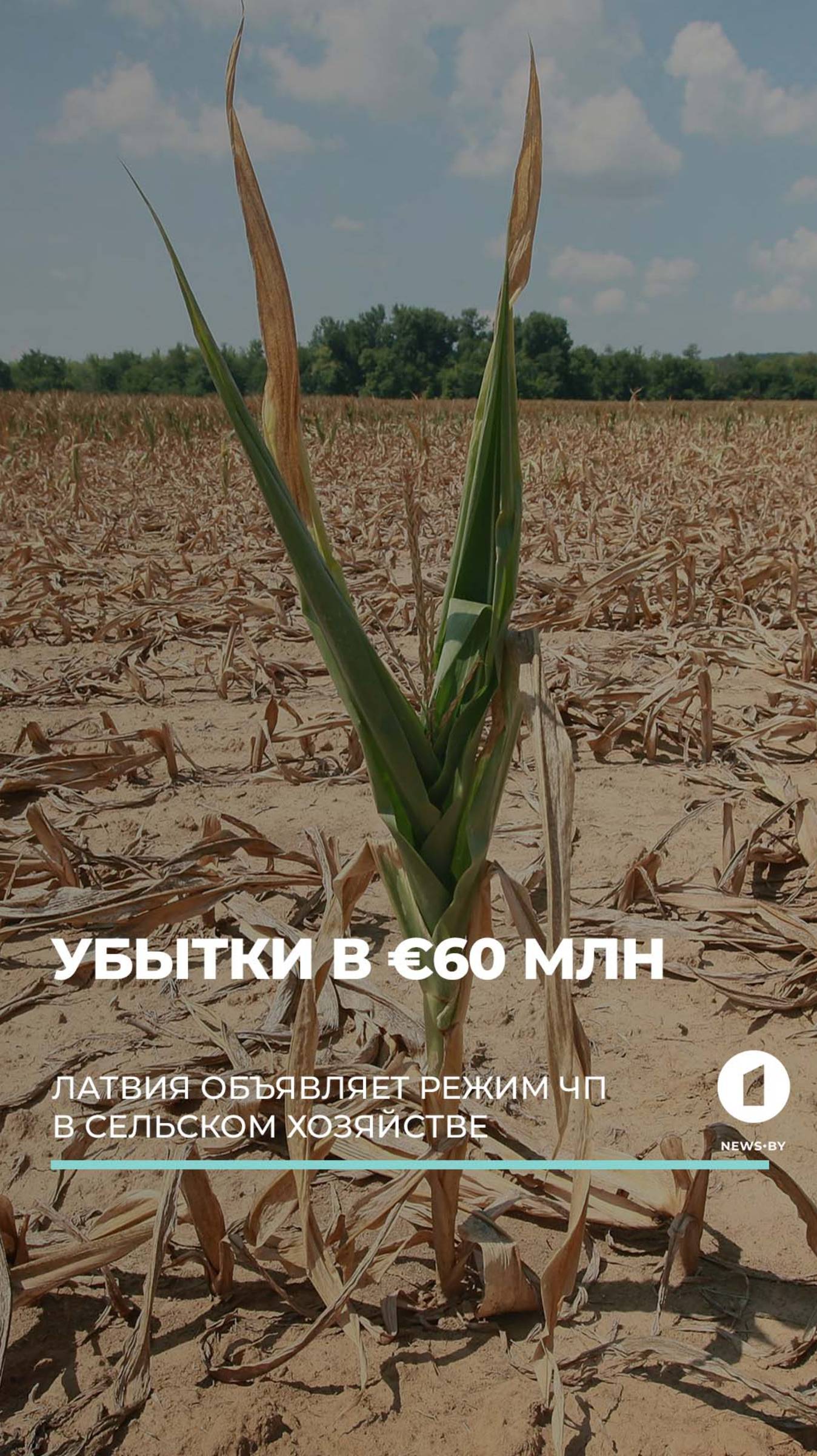 Сельское хозяйство Латвии под угрозой