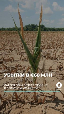 Сельское хозяйство Латвии под угрозой