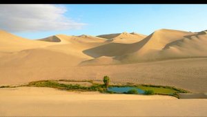 Сахих аль-Бухари, хадисы № 261-270. Фокус темы: ОМОВЕНИЕ - 5