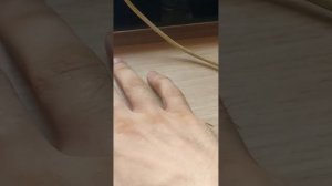 эп  кормил осу грушей YouCut_20250801_120606202