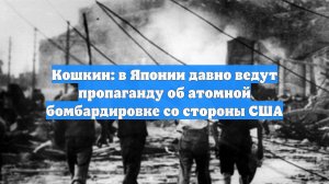 Кошкин: в Японии давно ведут пропаганду об атомной бомбардировке со стороны США