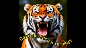 Сам ты киса.