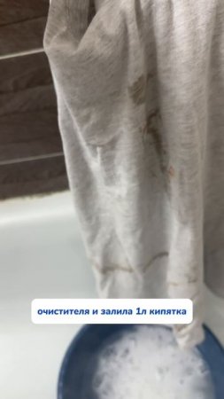 кошачьи пакости