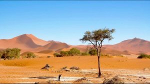 Сахих аль-Бухари, хадисы № 431-440. Фокус темы: МЕЧЕТЬ - 4