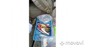 В гостях у Лешего