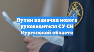 Путин назначил нового руководителя СУ СК Курганской области