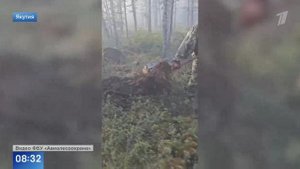 Первый канал В Карелии ликвидировано свыше 70 лесных пожаров