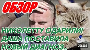 САМВЕЛ АДАМЯН, КТО СЛЕДУЮЩИЙ НА РЫДАНИЯ??? ОЧАРОВАННЫЕ ИГРЕНЬЦЫ ГОТОВЯТ ДРАНИКИ..