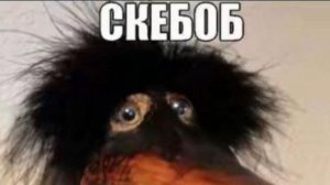 Гулянка(ЗАХОДИТЕ ИНТЕРЕСНО)