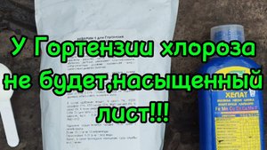πΏΠΠΎΡΡΠ΅Π½Π·ΠΈΠΈ Ρ
Π»ΠΎΡΠΎΠ·ΡΡ ΡΠ΄Π΅Π»Π°ΠΉΡΠ΅ ΡΠ°ΠΊ ΠΈ Π±ΡΠ΄Π΅Ρ ΡΠΈΡΡΡΠΉ ΠΈΠ·ΡΠΌΡΡΠ΄Π½ΡΠΉ Π»ΠΈΡΡ!π²