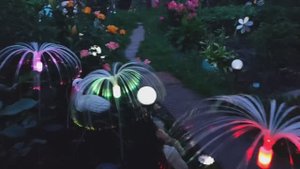 Волшебный летний вечер на даче.