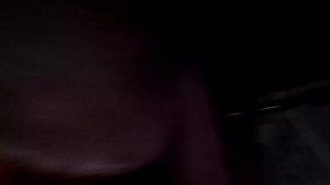 Попугай кира летит на комнате 🦜🦜🦜 ролик 2025 г.