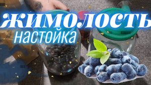 Крепкая настойка на жимолости