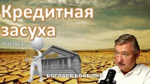Боглаев/Бобылев:Наступает время кредитной засухи.