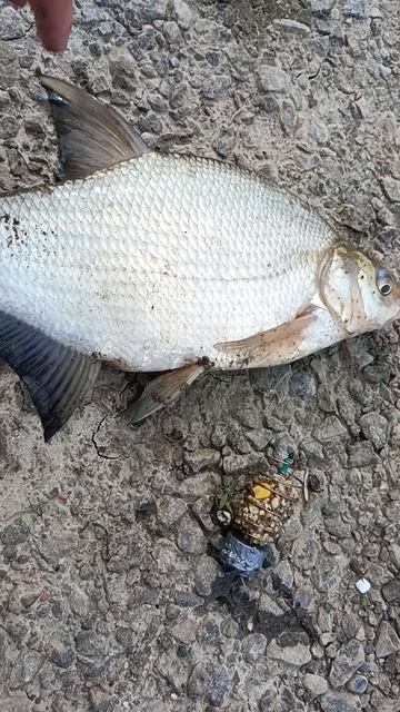 С третьей поклёвки. смотреть онлайн