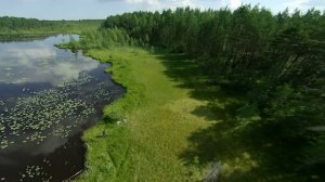 Вокруг Озера