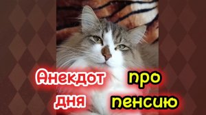 Анекдот дня про пенсию.