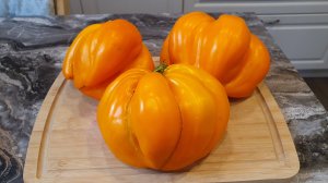 НАСЛАЖДЕНИЕ ТЁТУШКИ СВАРЛО ОРАНЖЕВЫЙ.