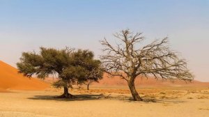 Сахих аль-Бухари, хадисы № 151-160. Фокус темы: ВУДУ - 3