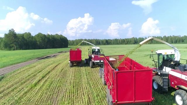 День поля 2025 смотреть онлайн