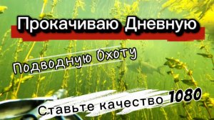Не поймал рыбу — поймал опыт: дневная подводная охота