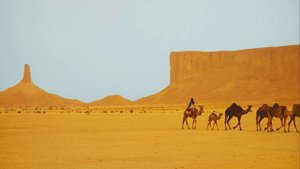 Сахих аль-Бухари, хадисы № 61-70. Фокус темы: ЗНАНИЯ