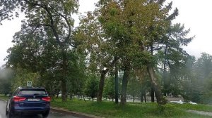 МОСКВА-СИТИ в ДЫМКЕ: Небоскребы Сквозь Завесу Дождя 🌆 | ASMR Drive