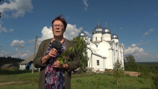 Слава Богу за всё! СТИХОТВОРЕНИЕ смотреть онлайн