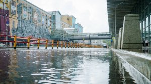 В Московском регионе за сутки выпало до 130% месячной нормы осадков