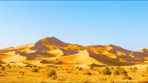 Сахих аль-Бухари, хадисы № 421-430. Фокус темы: МЕЧЕТЬ - 3