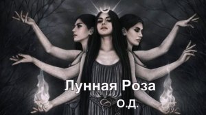 🌹 Лунная Роза 🌹
