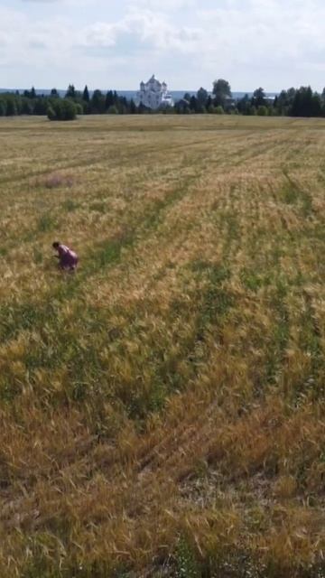 Хорошо жить в деревне смотреть онлайн