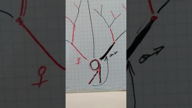 Брать силу у Рода или есть другой 
Источник ?